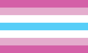 Femboy Flag